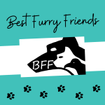 Best Furry Friends